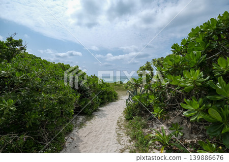 [Taketomi Island] Aiyaru Beach 139886676