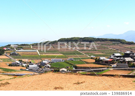 Potato harvest Potato harvest 139886914