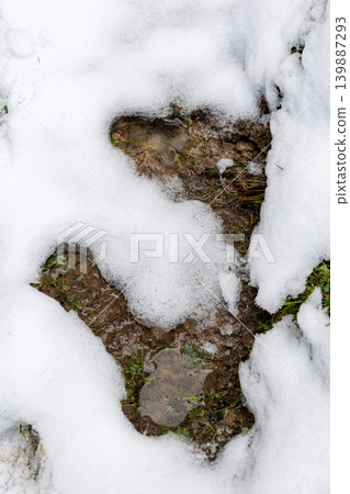 Muddy forest trail with melting snow in Bavaria, Germany, showing a rugged late winter to spring transition in nature. Muddy forest trail with melting snow in Bavaria, Germany, showing a rugged late winter to spring transition in nature. 139887293