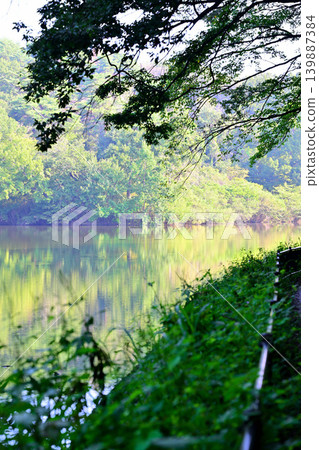 Sa玉縣吉見町Hatcho Lake Sa玉縣吉見町Hatcho Lake 139887384