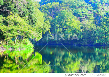 Hatcho Lake, Yoshimi Town, Saitama Prefecture Hatcho Lake, Yoshimi Town, Saitama Prefecture 139887385