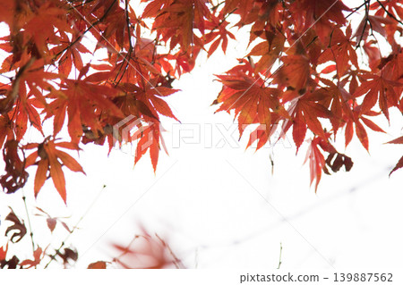 air, atmosphere, background, beautiful, black, blue, clear, climate, cloud, clouds, cloudscape, cloudy, condensation, cumulus, cutout, dark, day, design, environment, fluffy, freedom, heaven, heavenly air, atmosphere, background, beautiful, black, blue, clear, climate, cloud, clouds, cloudscape, cloudy, condensation, cumulus, cutout, dark, day, design, environment, fluffy, freedom, heaven, heavenly 139887562