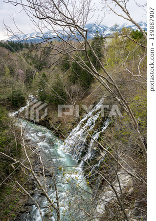 五月的北海道 五月的北海道 139887907