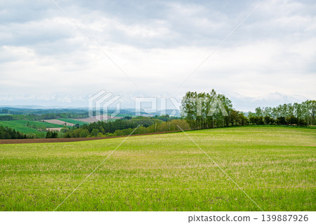 Hokkaido in May Hokkaido in May 139887926