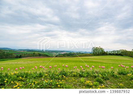 五月的北海道 139887932
