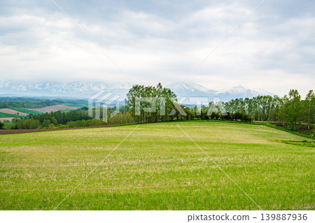 五月的北海道 五月的北海道 139887936