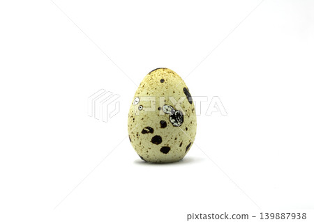 A Detailed Close Up Single Speckled Quail Egg with Distinct Dark Spots Isolated on a Pure White Background A Detailed Close Up Single Speckled Quail Egg with Distinct Dark Spots Isolated on a Pure White Background 139887938