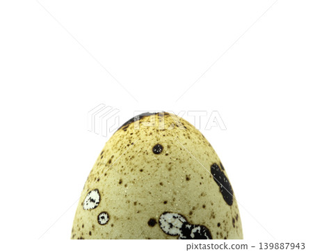 A Detailed Close Up Single Speckled Quail Egg with Distinct Dark Spots Isolated on a Pure White Background A Detailed Close Up Single Speckled Quail Egg with Distinct Dark Spots Isolated on a Pure White Background 139887943