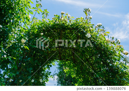 Rose arch Rose arch 139888076