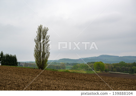 五月的北海道 139888104