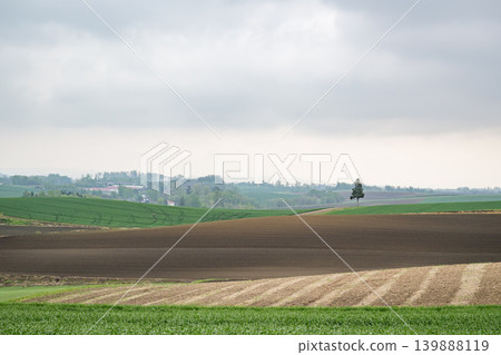Hokkaido in May Hokkaido in May 139888119