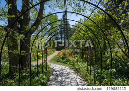 Hokkaido in May Hokkaido in May 139888215
