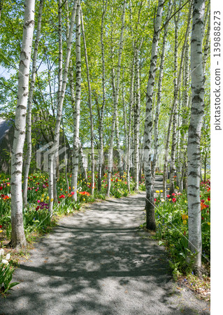 Hokkaido in May Hokkaido in May 139888273