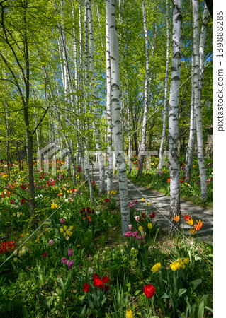 Hokkaido in May Hokkaido in May 139888285
