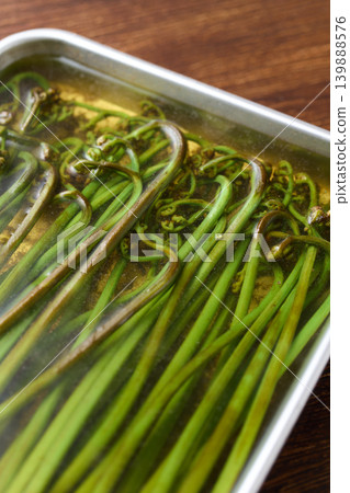 蕨菜鹼液去除 蕨菜鹼液去除 139888576