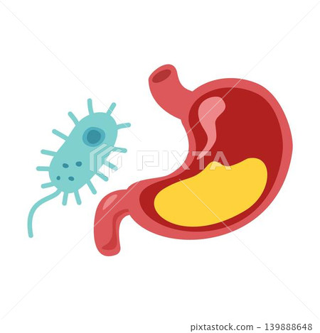 Campylobacter jejuni illustration 139888648