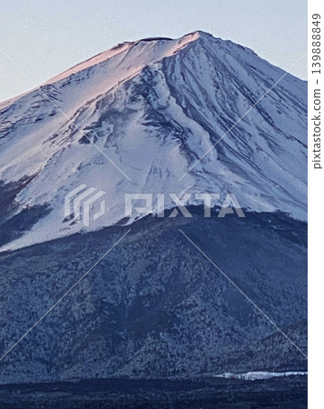 In the depths of winter, Mount Fuji is covered in pristine white snow that has just fallen, creating a stark contrast between the white of the summit and the gray below the treeline. In the depths of winter, Mount Fuji is covered in pristine white snow that has just fallen, creating a stark contrast between the white of the summit and the gray below the treeline. 139888849
