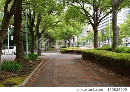美麗的清新綠意，步道 139888999