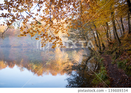 Autumn landscape in Yedigoller National park, Autumn landscape in Yedigoller National park, 139889334
