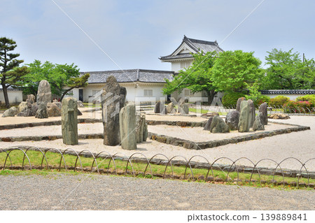 岸和田城八七神庭園 岸和田城八七神庭園 139889841