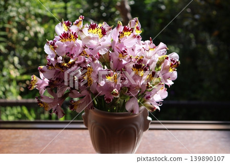 Decorate the windowsill with alstroemeria flowers. Decorate the windowsill with alstroemeria flowers. 139890107