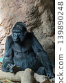 Expressive gorillas 139890248