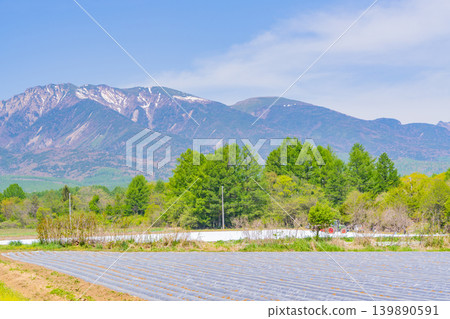 （長野縣）野邊山高原，菜地，白色地膜 139890591