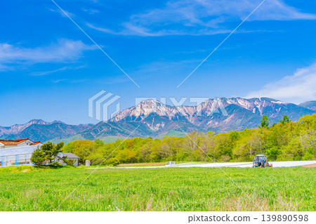 (長野縣)野邊山高原,菜地,白色地膜 (長野縣)野邊山高原,菜地,白色地膜 139890598