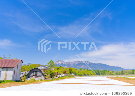 (長野縣)野邊山高原,菜地,白色地膜 (長野縣)野邊山高原,菜地,白色地膜 139890599