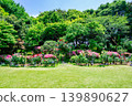 東京文京區鳩山會館：庭院，春季玫瑰花季 139890627