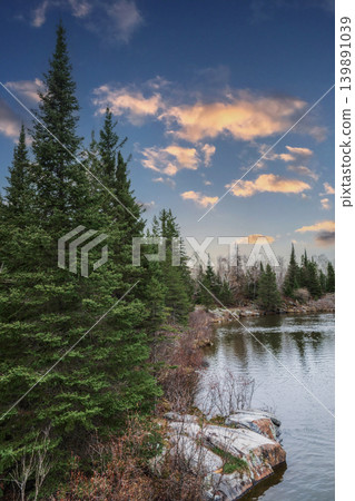 Northern Wetland Forest at Sunset Northern Wetland Forest at Sunset 139891039
