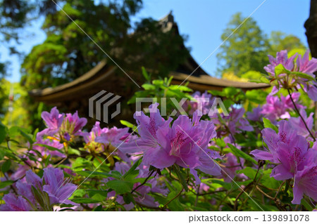 Nara · Ishigami Shrine 139891078