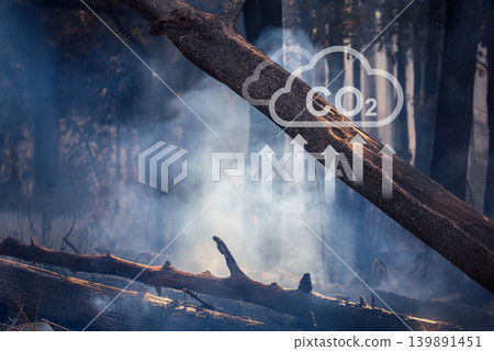 Wildfires release carbon dioxide (CO2) emissions and other greenhouse gases (GHG) that contribute to climate change. 139891451