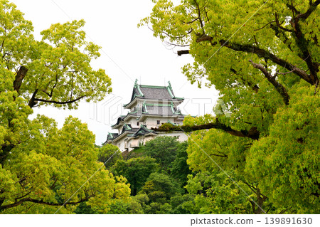 Wakayama Castle Wakayama Castle 139891630