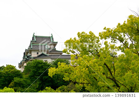 Wakayama Castle Wakayama Castle 139891631