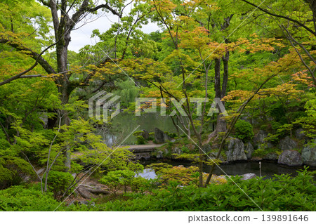 Wakayama Castle and Momijidani Garden 139891646