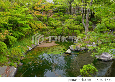 Wakayama Castle and Momijidani Garden Wakayama Castle and Momijidani Garden 139891650