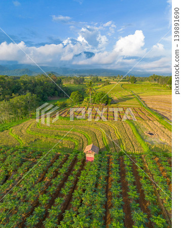 The natural beauty of the Indonesian mountains with beautiful tropical forests at sunrise The natural beauty of the Indonesian mountains with beautiful tropical forests at sunrise 139891690