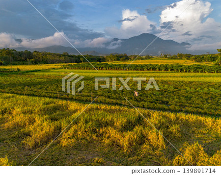 The natural beauty of the Indonesian mountains with beautiful tropical forests at sunrise The natural beauty of the Indonesian mountains with beautiful tropical forests at sunrise 139891714