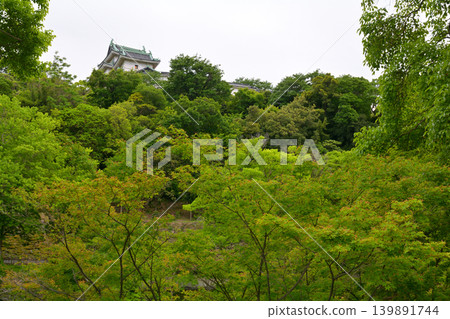 和歌山城,日本百座名城之一 和歌山城,日本百座名城之一 139891744
