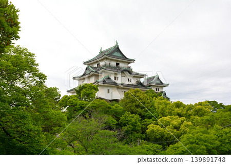 和歌山城,日本百座名城之一 和歌山城,日本百座名城之一 139891748