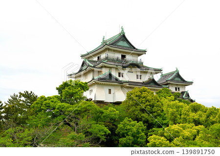 Wakayama Castle, one of Japan's 100 Famous Castles Wakayama Castle, one of Japan's 100 Famous Castles 139891750