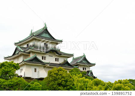 Wakayama Castle, one of Japan's 100 Famous Castles 139891752