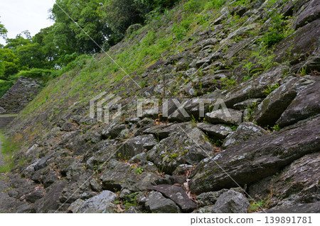 和歌山城,日本百座名城之一 和歌山城,日本百座名城之一 139891781