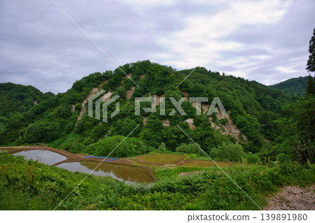 Rice terraces seen from the top of the mountain 139891980