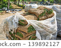 Fresh sod rolls stacked for landscaping in a public park. Turf grass patches prepared for lawn installation or home garden improvement. Outdoor soil restoration and city development. 139892127