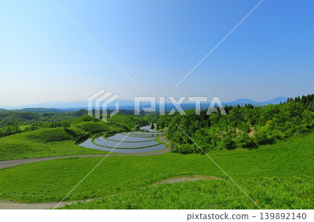 Fan-shaped terraced rice fields in the season of fresh greenery 139892140