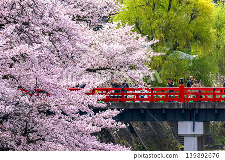 260414 中橋櫻g009 260414 中橋櫻g009 139892676