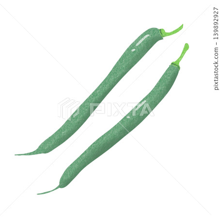 Illustration of green beans Illustration of green beans 139892927