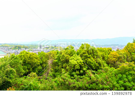 奈良郡山城 奈良郡山城 139892978